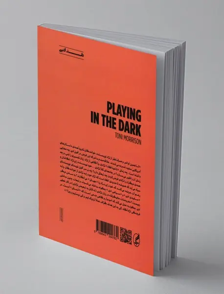 نواختن در تاریکی