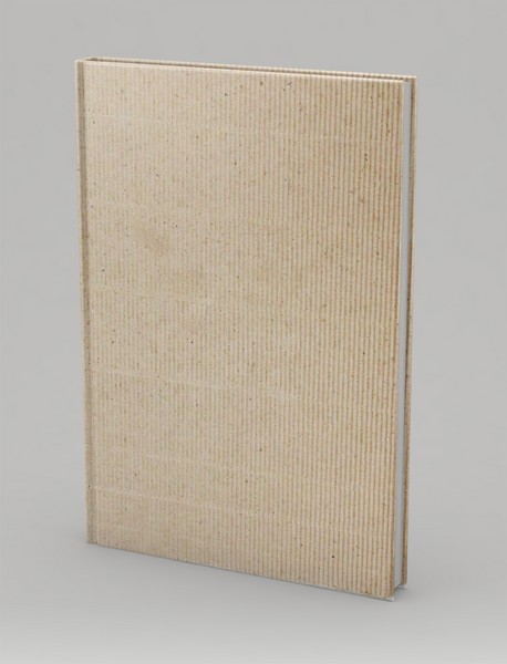 صدای پای آب