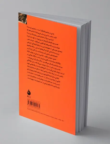 تاریخ فرهنگی زشتی