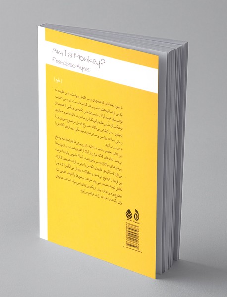 میمون ها و آدم ها