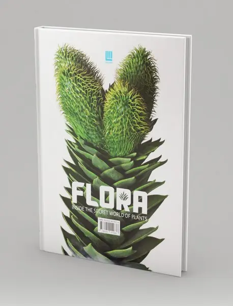 دایره المعارف مصور گیاه شناسی