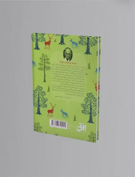 ماجراهای رابین هود