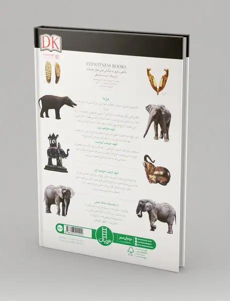 شاهد عینی: فیل ها