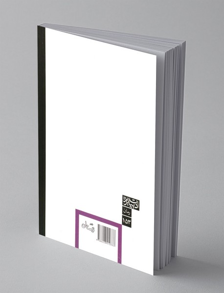 عقلم به قدت نمی رسد