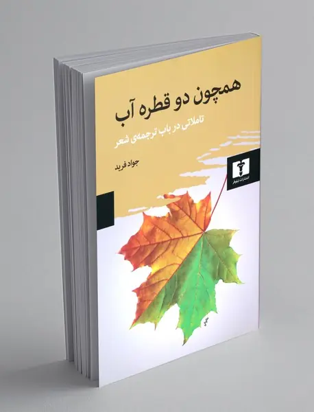 همچون دو قطره آب