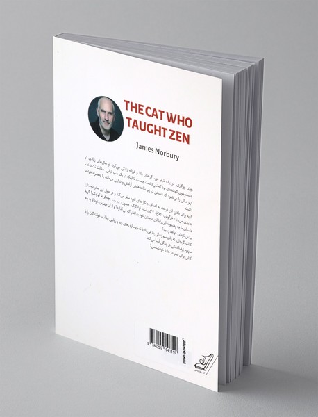 گربه ای که راه و رسم زندگی یاد می داد