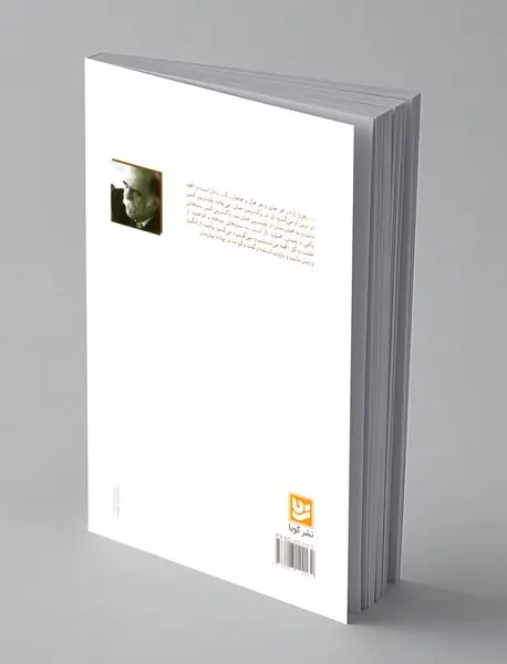 شبی در شارستان شور