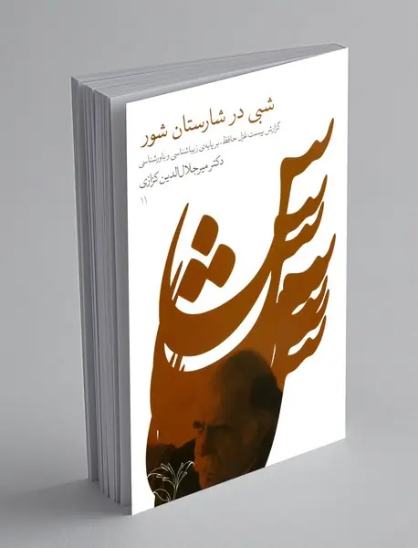 شبی در شارستان شور