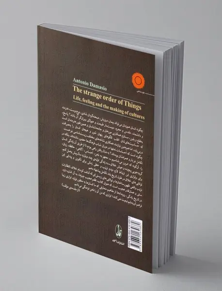 نظم عجیب چیز ها