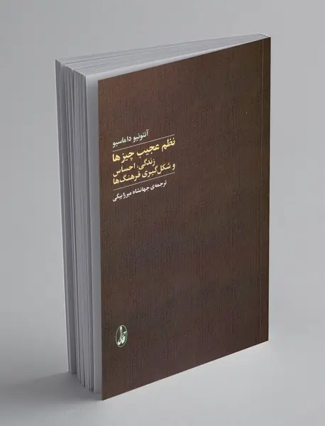 نظم عجیب چیز ها