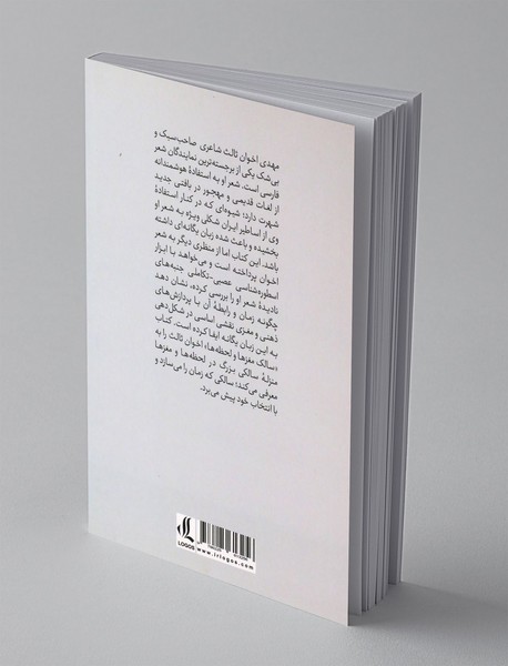 سالک مغز ها و لحظه ها