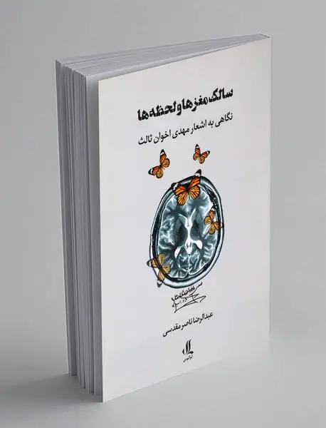 سالک مغز ها و لحظه ها