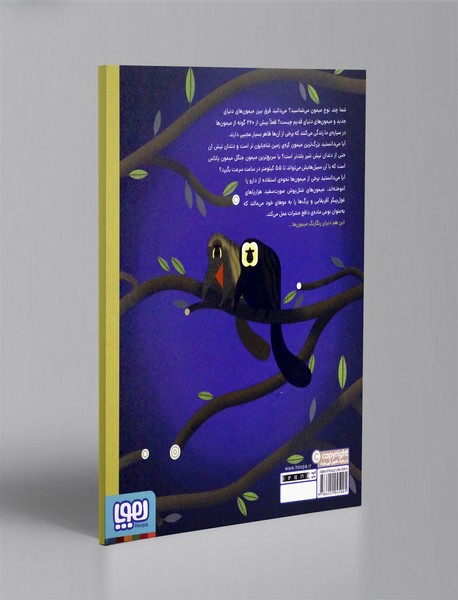 دنیای رنگارنگ میمون ها