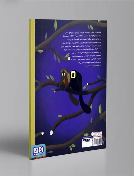 دنیای رنگارنگ میمون ها