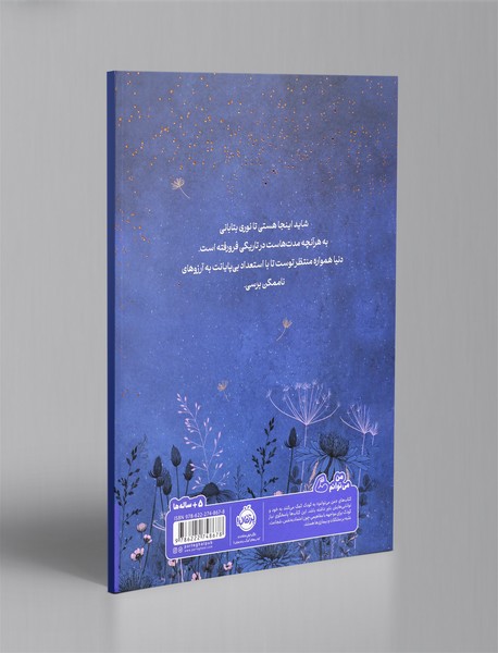 شاید ... اینجا هستی تا نوری بتابانی