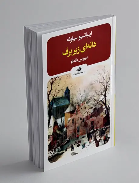 دانه ای زیر برف