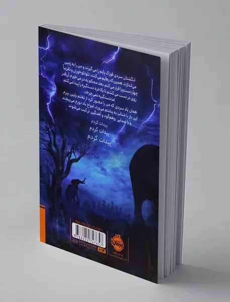 گمشده ی گورستان