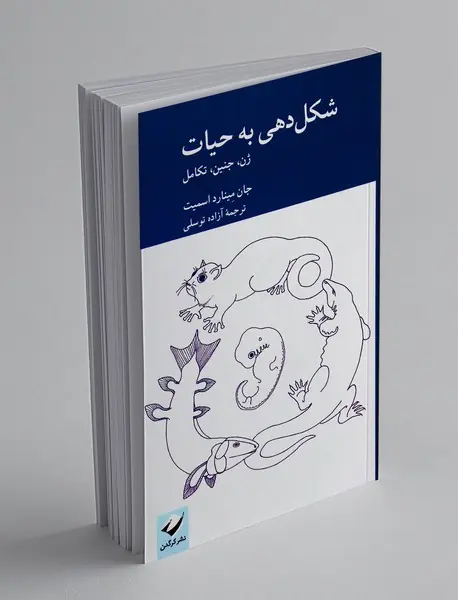 شکل دهی به حیات