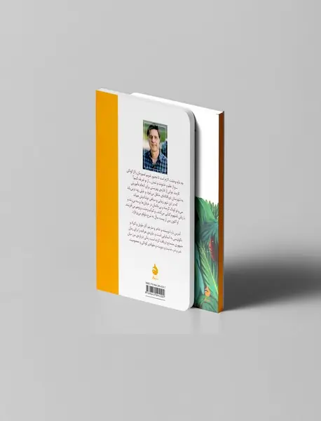 جمهوری مشعشع