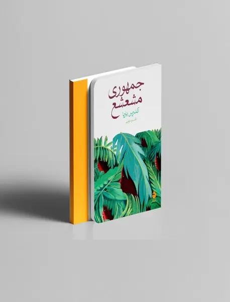 جمهوری مشعشع