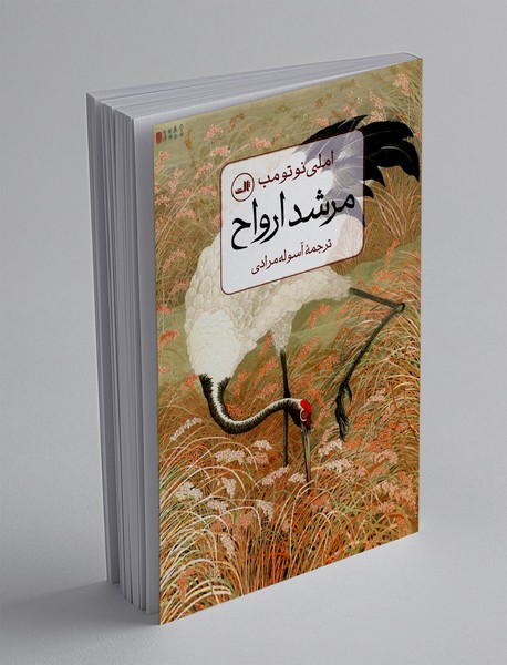 مرشد و ارواح