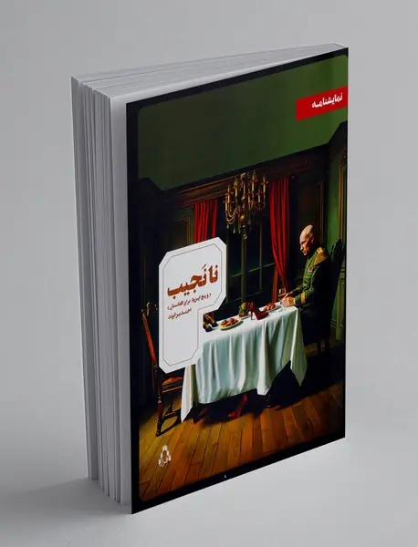 نانجیب و پنج اپیزود برای افغانستان