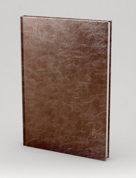 دیوان حافظ بخظ میرزا محمدرضا کلهر