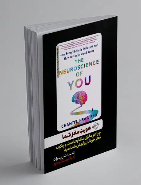 هویت مغز شما