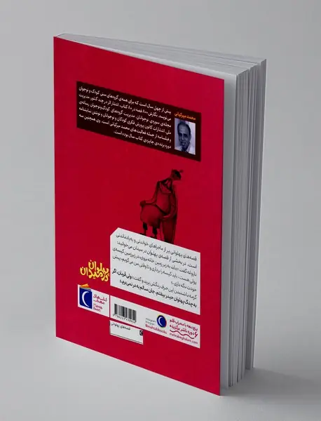 پهلوان در میدان