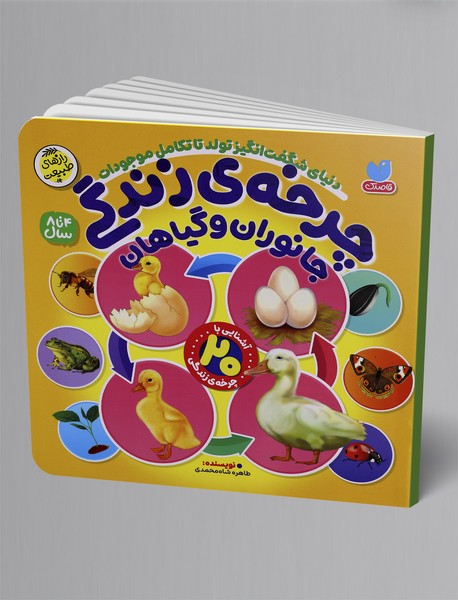 چرخه ی زندگی جانوران و گیاهان