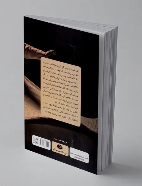 مولانا و راز انسان کامل