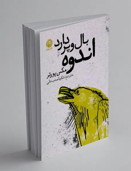 اندوه بال و پر دارد