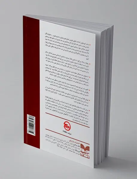 فروشندگان بزرگ چگونه عمل می کنند؟