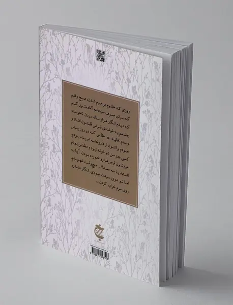 راز پسر سبد نشین