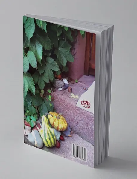 دوست داشتم کسی جایی منتظرم باشد