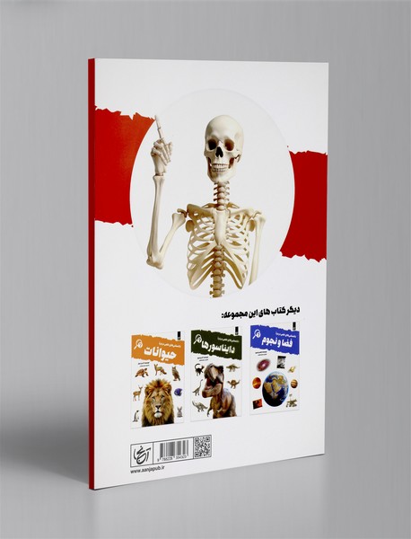 دانستنی های علمی درباره بدن انسان