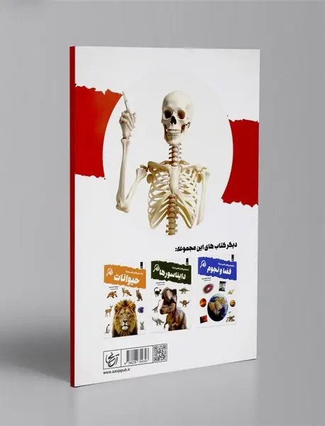 دانستنی های علمی درباره بدن انسان