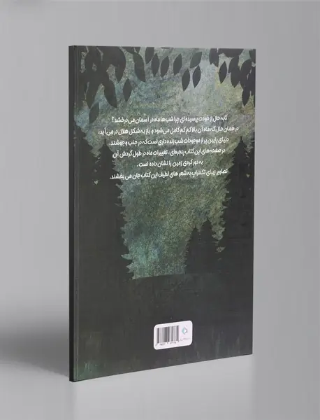 ماه نقره ای