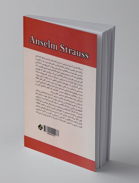 دستگاه نظری آنسلم استر اوس