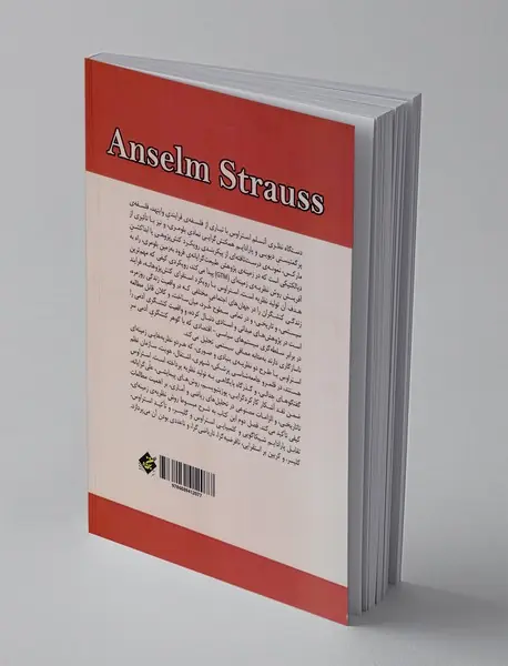 دستگاه نظری آنسلم استر اوس