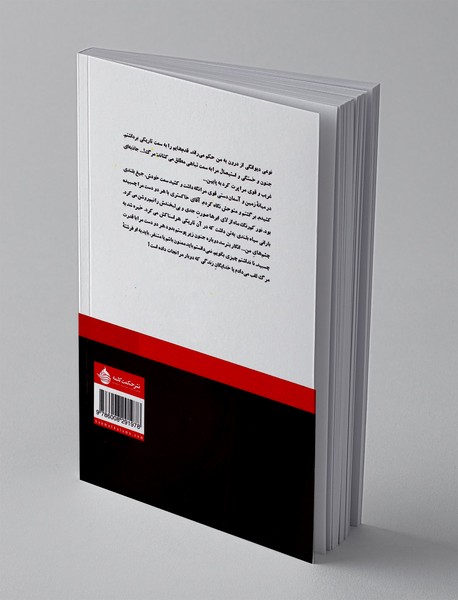 بال هایی در صندوق