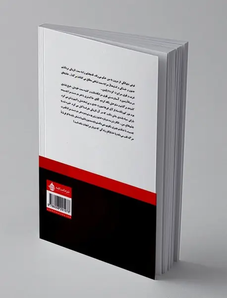 بال هایی در صندوق