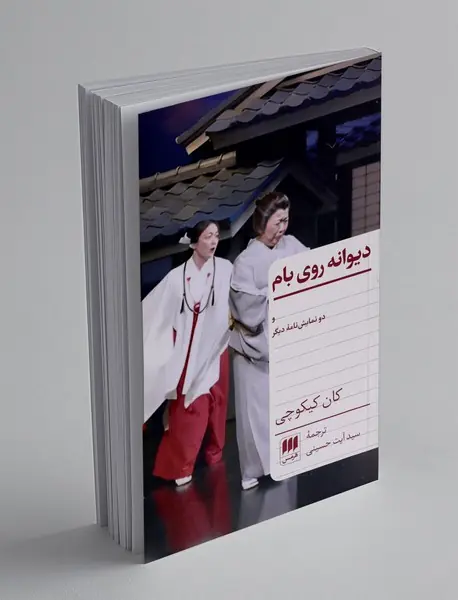 دیوانه روی بام