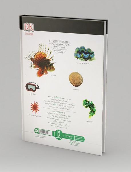 شاهد عینی: اقیانوس ها