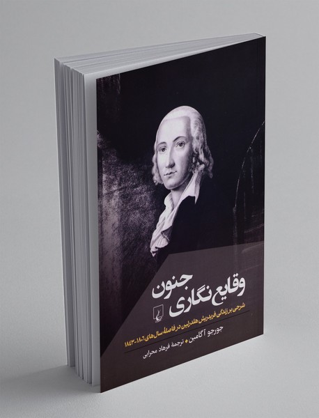 وقایع نگاری جنون