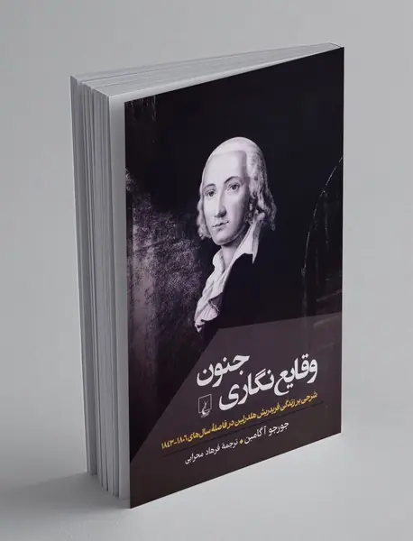 وقایع نگاری جنون