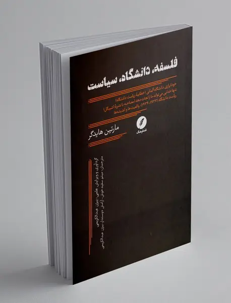 فلسفه، دانشگاه، سیاست