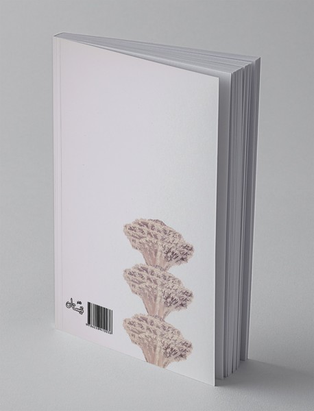 بیوه کوچک پایتخت