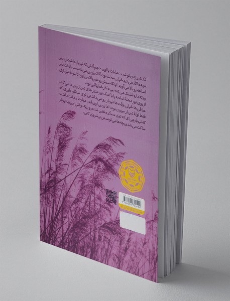 یکی مرد جنگی