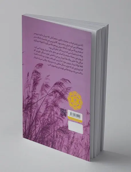 یکی مرد جنگی